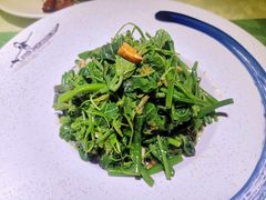 丝瓜尖-福荣新中式餐厅