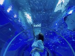 -波塞冬旅游度假区