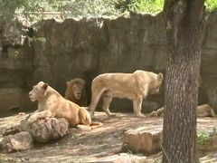 -北京野生动物园