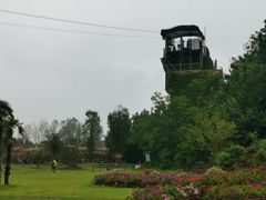 -东平国家森林公园