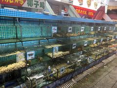 -范饭椰林川湘味海鲜·椰子鸡(三亚湾椰梦长廊店)