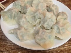 -启子大馅饺子