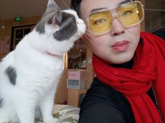 -CAT’S MEWSTAR CAFE·喵星球猫屋(晴湾咖啡店)