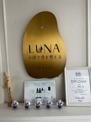 -LUNA皮相美·骨相美高级美感