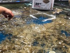 -盒马鲜生(丁香国际店)