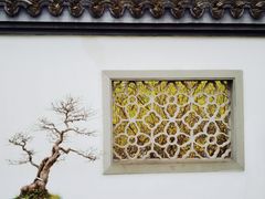 -杭州植物园