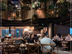 -同仁四季椰子鸡(海岸城天利店)
