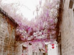 -品腐记·豆腐王朝(老门东总店)