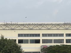 -白鹭洲公园