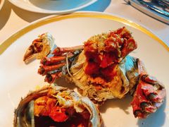-金轩中餐厅 Jin Xuan(浦东丽思卡尔顿酒店)