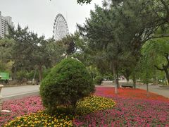 景点-沈阳南湖公园