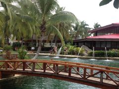 南中国大酒店-南中国大酒店