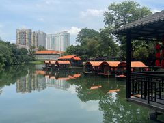 -侨美·唐荔园·40年地道粤菜