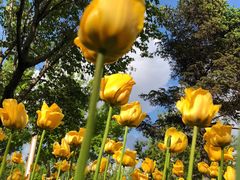 -长春公园(普阳街道)