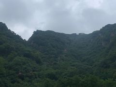 -牛背梁国家森林公园