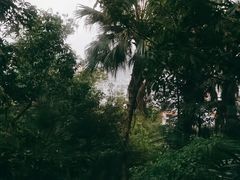 -炮台山公园