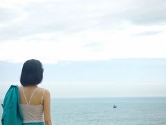 -广东惠东海龟国家级自然保护区