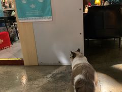 -咖法森林·咖啡  酒吧(天河店)