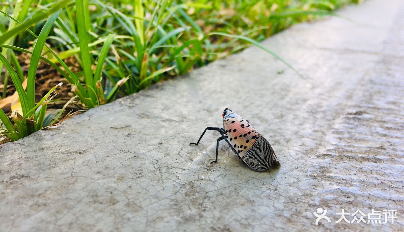 31-20摄氏度，吹着风温度还超级舒服