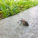 31-20摄氏度，吹着风温度还超级舒服