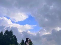 -武陵山森林公园