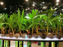 -凤园椰珍·臻品椰子鸡(保利时光里店)