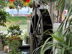 -晓琦农家菜馆·地道农家菜