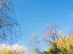 -黄花溪
