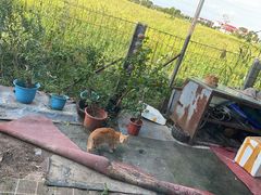 -龚家花园农家乐休闲别墅