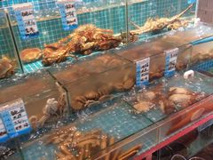 水产区-烧货·活海鲜炭烧(湖滨商业街店)
