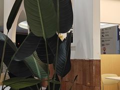 -雲物·云南小馆(好悦天地店)