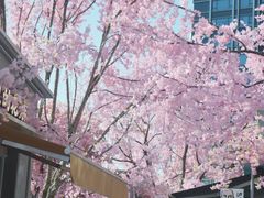 -首开·龙湖成都西宸天街