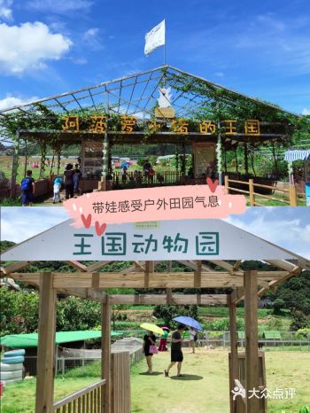 现在的小朋友很少感受田园风景,周末带着宝宝去体验一番