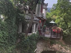 -老张烤羊(王哥庄店)