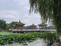 -长春市南湖公园