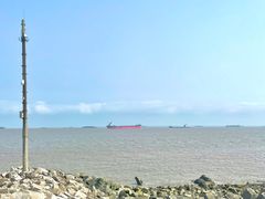 -上海滨江森林公园