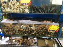 -蚝专家(北滘店)