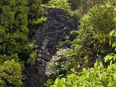 -梭布垭石林景区