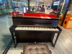 -柏斯音乐艺术中心·钢琴·吉他(世纪金源店)