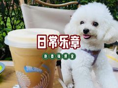 -Something For(鹏润达店)