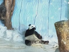 -海南热带野生动植物园