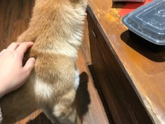 -About Bistro關於·泰式家庭料理