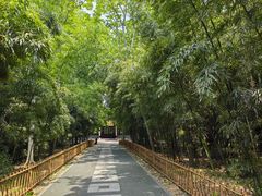 -扬州市茱萸湾风景区