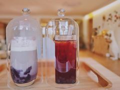 -猫腻·猫咖·撸猫馆(星光大道店)