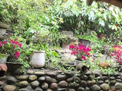 -正宗火盆自助烧烤·烤全羊·柴火鸡(龙泉山店)