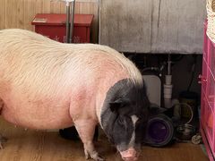 -小时光咖啡馆(开森度假森林店)