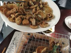 -山人野生菌餐厅