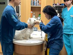 -联合动物医院(光谷诊疗中心)