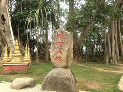 -瑞丽独树成林风景区