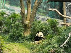 -石排湾郊野公园
